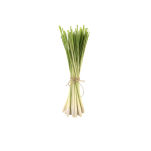 Citronnelle botte