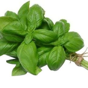 Basilic cannelle